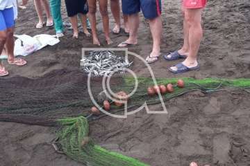 Melenara rememora el chinchorro y la varada del pescado (Foto TA)